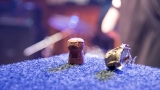 Křest skupiny Sex Deviants se vydařil, kmotrem se stala Stará Puška (80 / 157)