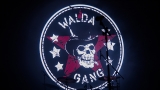 Kapela Walda Gang (38 / 73)