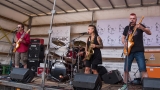 Kapela Piknik (17 / 173)