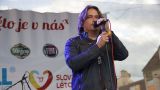 Druhý den Slováckého Léta s kapelami Tabák a AC TN Tribute (4 / 15)
