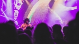 Psychedelic Porn Crumpets (29 / 48)