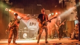 Kapela APH - American Punk Hits (37 / 91)