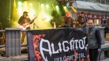 Kapela Aligátor (45 / 125)