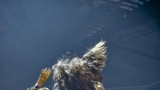 Megakoncert Radia Čas 2024 Ostravar Arena (56 / 77)