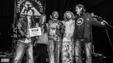 Kapela Pines in Flames - vítěz v Diváckém finále Múzy 2024 (113 / 124)