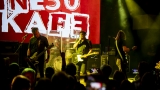 Iné Kafe (v Lucena music baru) (6 / 27)