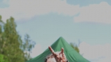 Chotěboř zažila první ročník Kluboofka Truck Festu. (46 / 142)