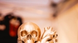 HellpDays 2025 (1 / 11)