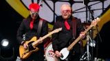 THE TOY DOLLS (9 / 32)