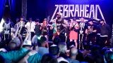 ZEBRAHEAD (60 / 200)