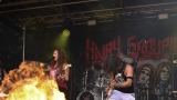 Hairy Groupies (279 / 492)