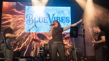 Kapela Bluevibes (14 / 27)