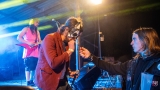 Z koncertu kapely Čtyřlístek (11 / 24)