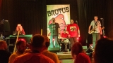 Z koncertu kapely Brutus (19 / 59)