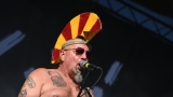 Vyprodaný Pekelný ostrov opět exceloval! Fanoušky přivítal zbrusu nový plážový areál, Royal Republic, špička české rockmetalové scény a úžasná atmosféra! (68 / 99)