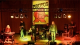 Brutus (8 / 26)