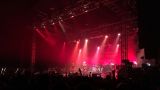 fanoušek Dřevák - The Offspring (USA) (10 / 21)