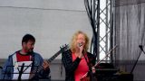 Přijďte na koncert, pomůžete 2017 (53 / 212)