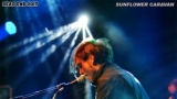 Sunflower Caravan (75 / 92)