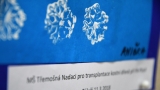 Benefiční koncert orchestru Tremolo a pěveckého sboru Arnicor pro Nadaci pro transplantace kostní dřeně (33 / 195)
