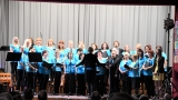 Benefiční koncert orchestru Tremolo a pěveckého sboru Arnicor pro Nadaci pro transplantace kostní dřeně (40 / 195)