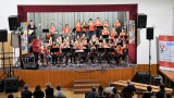 Benefiční koncert orchestru Tremolo a pěveckého sboru Arnicor pro Nadaci pro transplantace kostní dřeně (115 / 195)