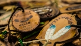 Trampské Pikovice s velkou dávkou dobré muziky jsou za námi (7 / 51)