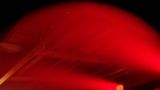 Metallica Czech Tribute Band zahráli v Ločenicích (20 / 57)