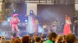 Kapela Monkey Business oslavila 17. narozeniny 25. května 2017 ve Žlutých lázních (12 / 102)