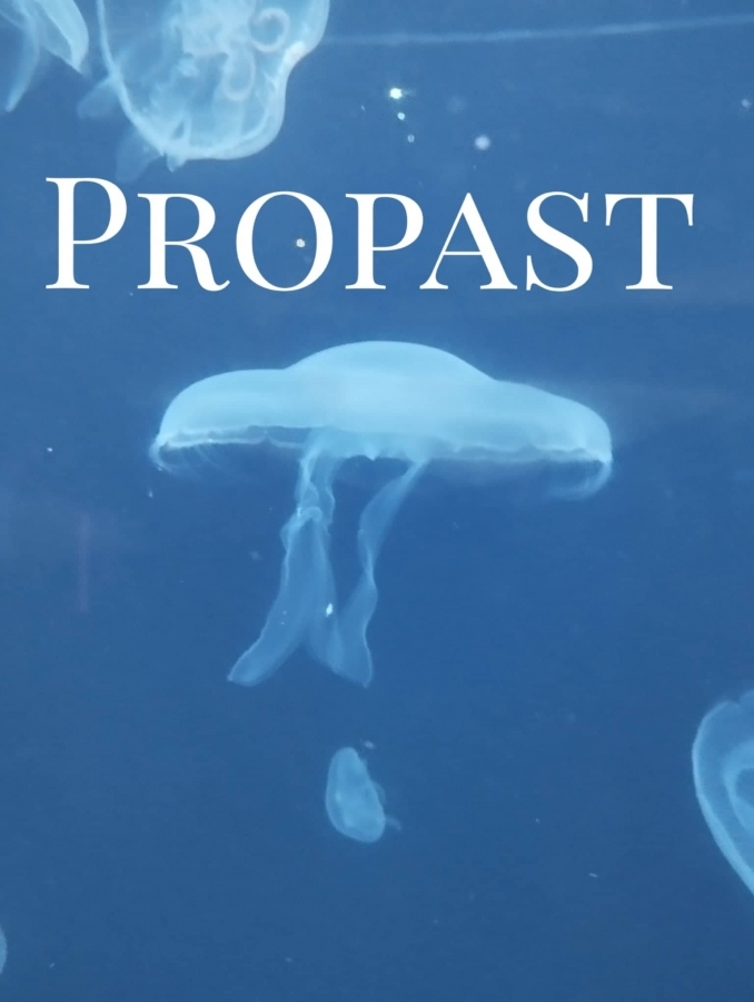 Speciální host předvede své umění podruhé po …