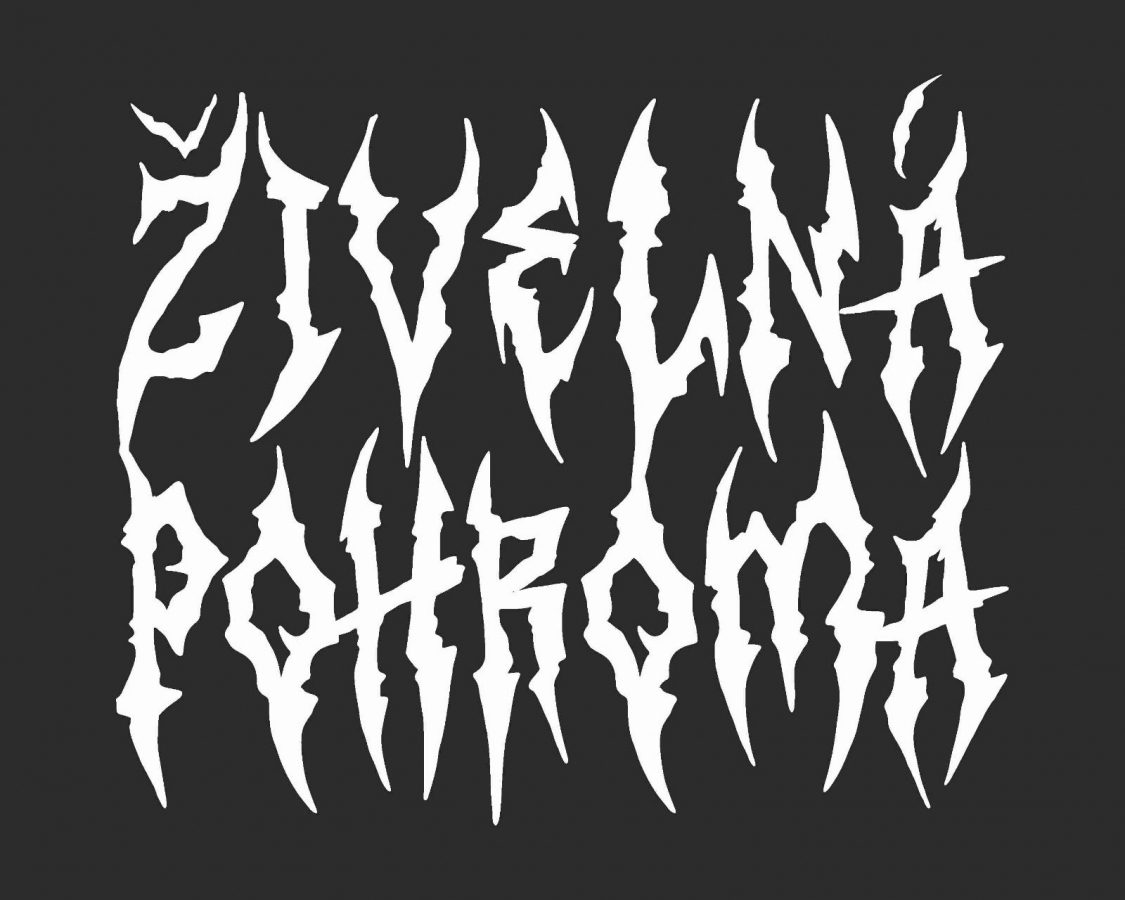 Živelná pohroma je název HC-punkové skupiny …