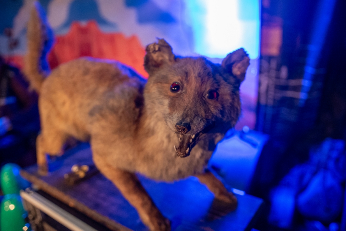 Kolem osmé na pódium nastoupila první kapela …