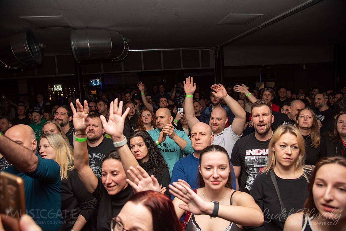 Z koncertu kapely Inekafe