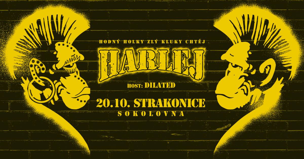 Podzim ve Strakonicích s Harlej a Dilated