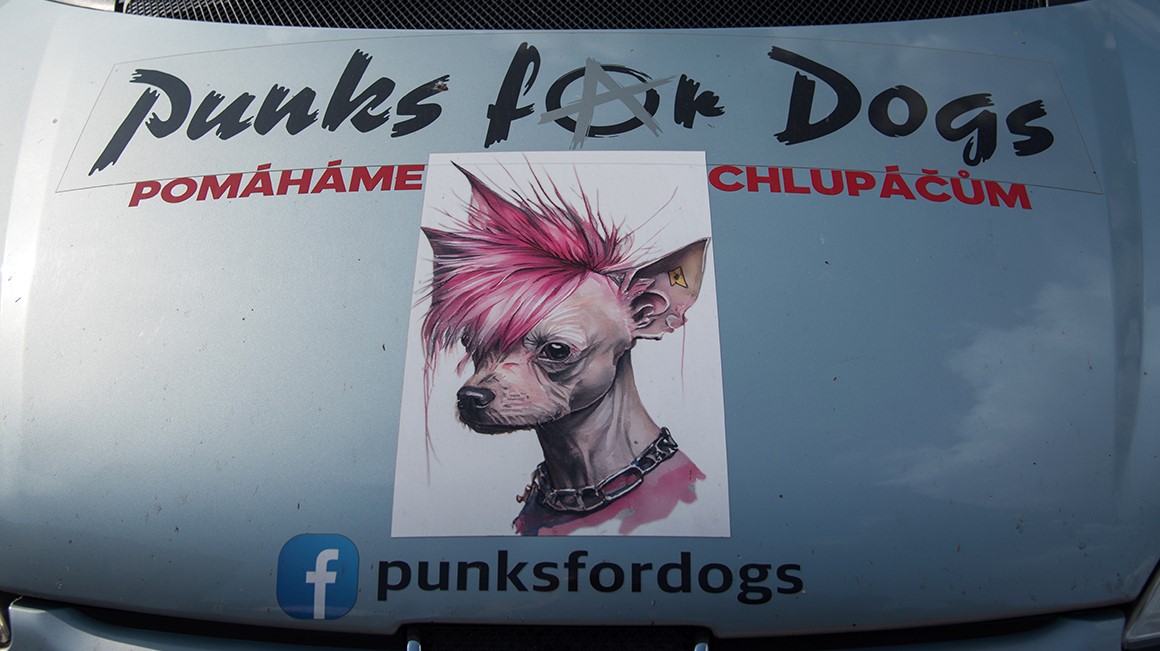 PUNKS FOR DOGS - co to je?