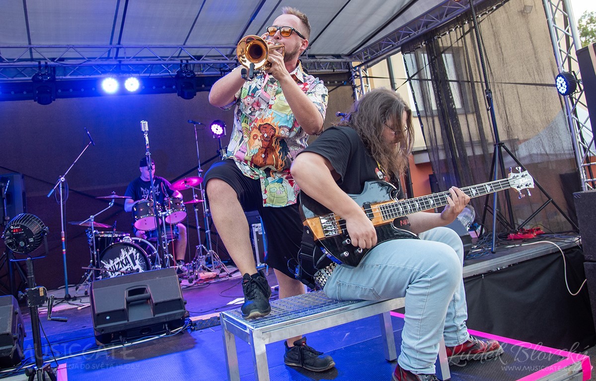 Benefiční festival Punks for Dogs pomohl na správném místě