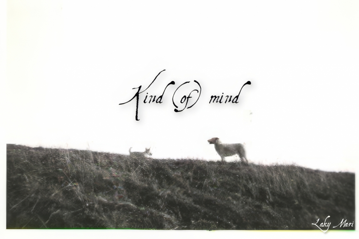 Třebíčská kapela Laky Mari vydává nové album Kind (of) mind.